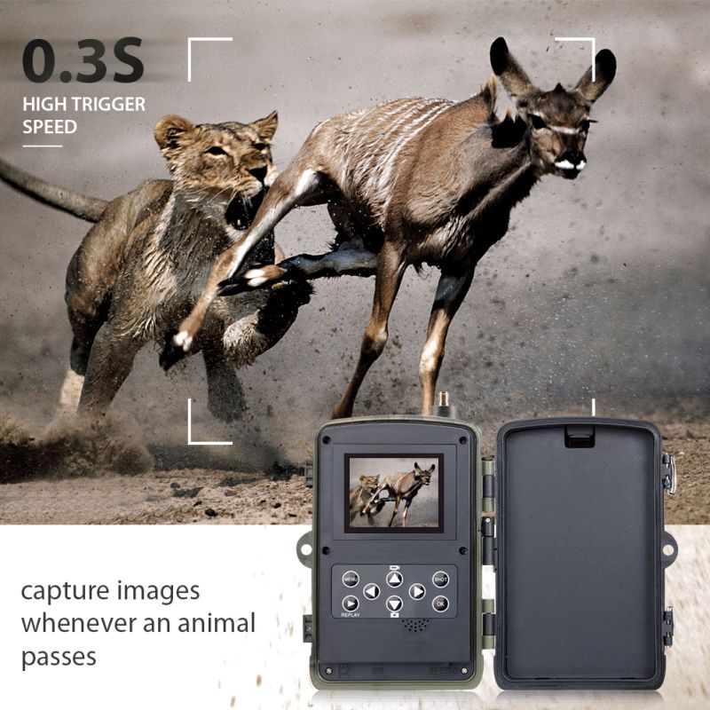 HC801M Trail Wildlife Camera 20MP 1080P med 2G MMS SMS Perfekt til Vildtfotografi og Naturobservation