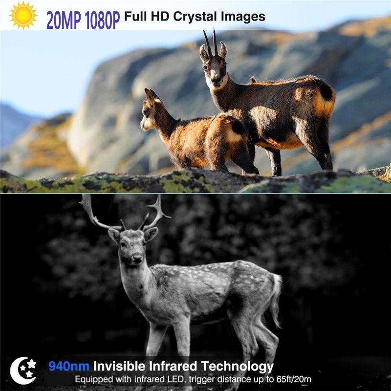 HC801M Trail Wildlife Camera 20MP 1080P med 2G MMS SMS Perfekt til Vildtfotografi og Naturobservation