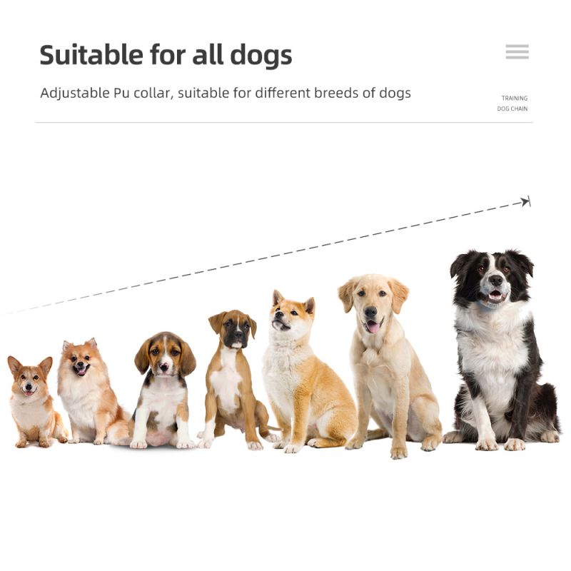IP7 vandtæt 800m hundetræningshalsbånd med justerbare niveauer kæledyrsfjernbetjening genopladeligt træningsværktøj