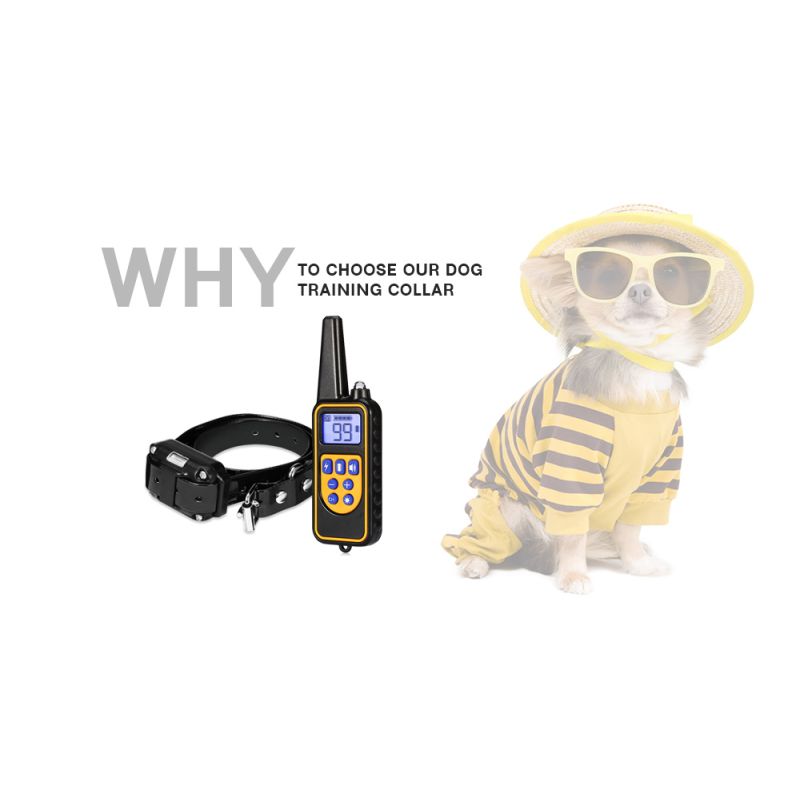 800m Elektrisk Hundetræningskrave Vandtæt Genopladelig Justerbare Vibrationer LCD-skærm Kæledyrstræning
