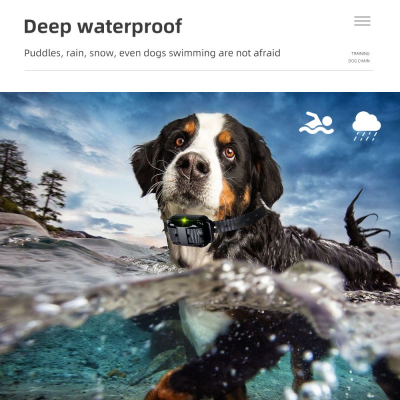 IP7 vandtæt 800m hundetræningshalsbånd med justerbare niveauer kæledyrsfjernbetjening genopladeligt træningsværktøj