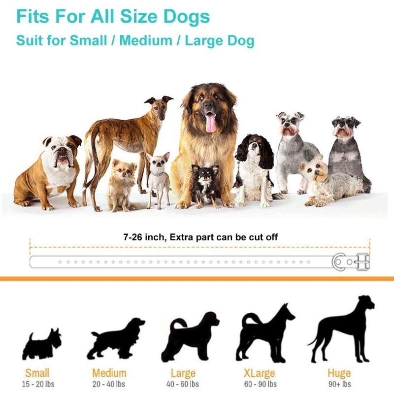 800m Elektrisk Hundetræningshalsbånd med Fjernbetjening 3 Træningstilstande til Kæledyrstræning Små Store Hunde