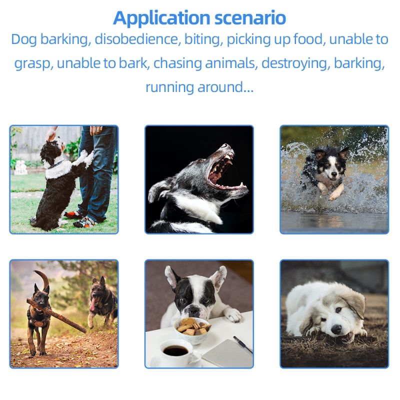 Vandtæt genopladeligt hundetræningshalsbånd med fjernbetjening og LCD-skærm til effektiv lydighedstræning