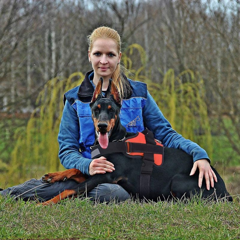 Åndbar nej-træk hundesele med reflekterende kæledyrsvest og justerbar pasform til mellemstore hunde