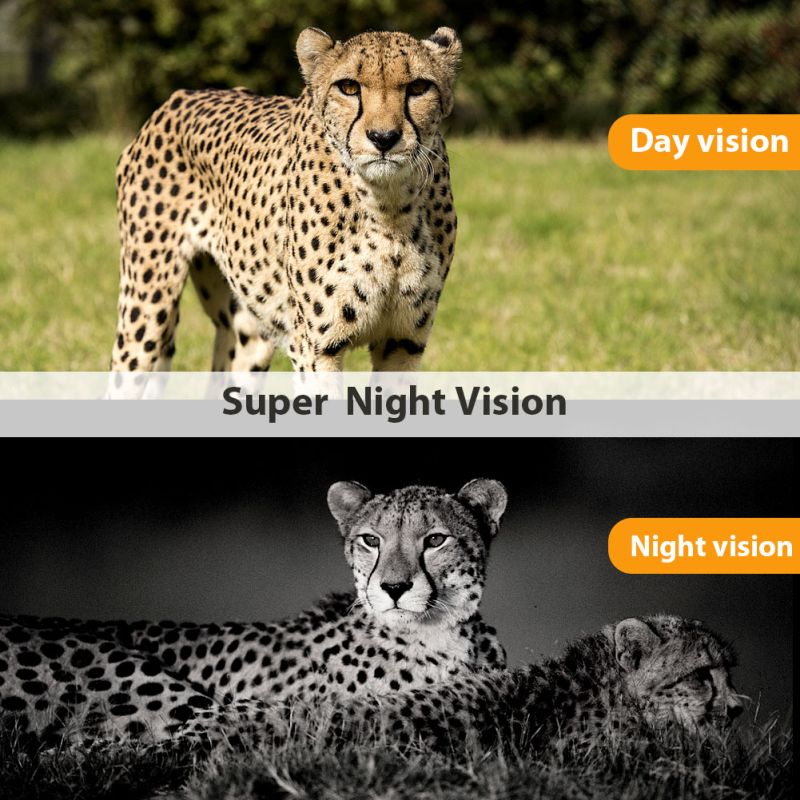 HC801M Trail Wildlife Camera 20MP 1080P med 2G MMS SMS Perfekt til Vildtfotografi og Naturobservation