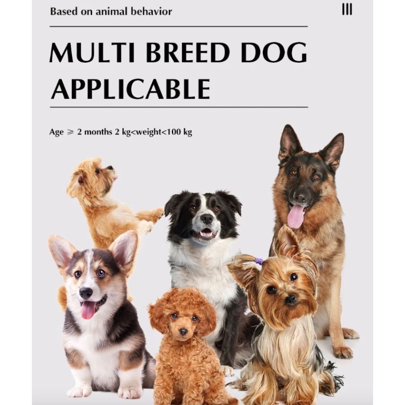 Innovativt Trådløst Hundhegn og Fjerntræningshalsbånd til Kæledyrssikkerhed Hvalpetræning Hunde i Alle Størrelser