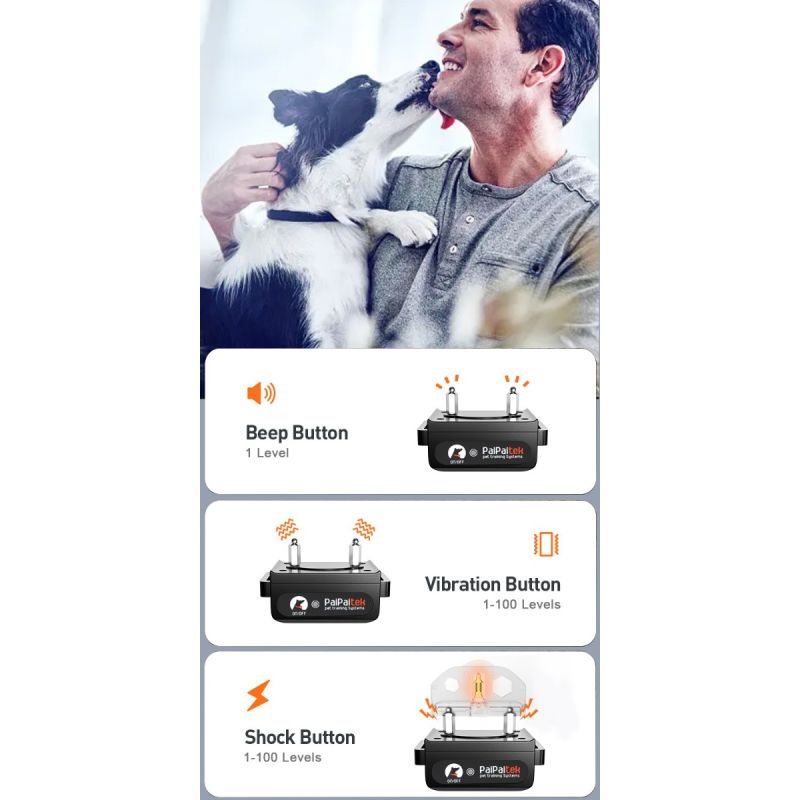 Effektiv 1000m elektrisk hundetræningshalsbånd med fjernbetjening og genopladelig funktion for sikker træning