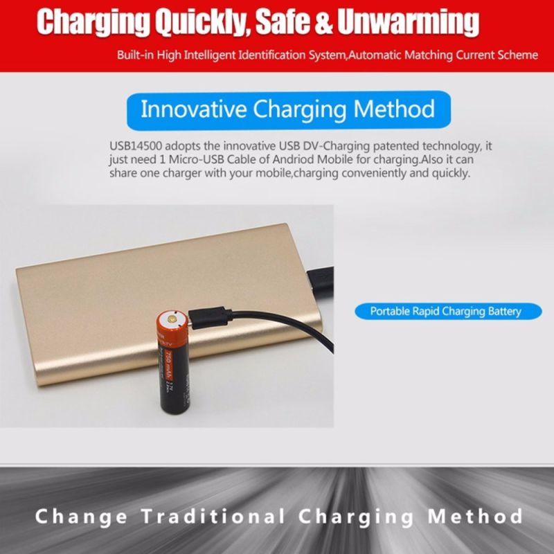 DoublePow 14500 batteri 750mAh genopladeligt lithium-ion miljøvenligt batteri med LED-opladningsindikator