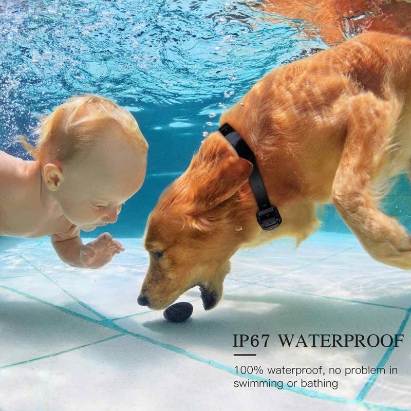 800m Elektrisk Hundetræningskrave med Fjernbetjening Vandtæt og Genopladelig Træningsudstyr til Kæledyr