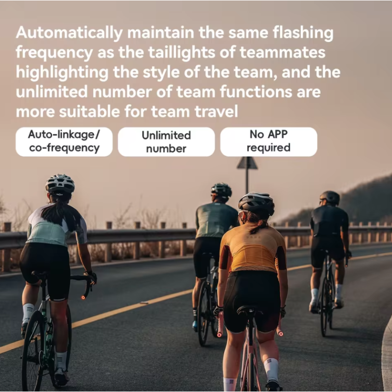 ROCKBROS R0 Styr-Endeplugs Cykellygte | Type-C Genopladelig Baglygte MTB/Landevej - Øg Cykelsikkerhed