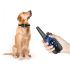 IP7 vandtæt 800m hundetræningshalsbånd med justerbare niveauer kæledyrsfjernbetjening genopladeligt træningsværktøj