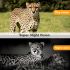 HC801M Trail Wildlife Camera 20MP 1080P med 2G MMS SMS Perfekt til Vildtfotografi og Naturobservation