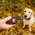 Genopladelig vandtæt hundekrave til adfærdskorrektion justerbare chokniveauer effektivt hunde træningsværktøj