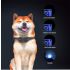 800m vandtæt elektrisk hundetræningshalsbånd genopladelig med LCD-skærm justerbare niveauer til alle størrelser