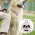 Hundesporer Airtag Hundehalsbånd Android Airtag GPS Tracker til hunde med Realtime placering og Hundesikkerhed