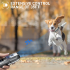 Ultralyds Hunderepeller med LED Lommelygte Anti Gøen og Sikker Adfærdsændring Hunde Træning Effektiv Løsning