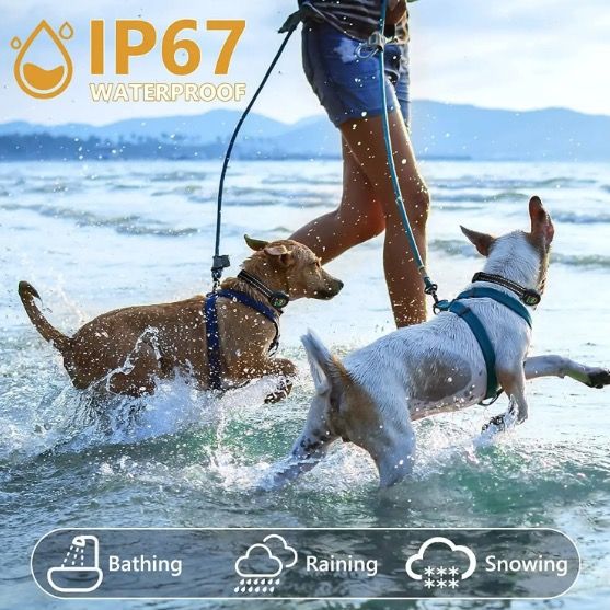 Smart automatisk anti-gøende hundehalsbånd med genopladeligt design, intelligent gø-genkendelse og skånsom løsning.