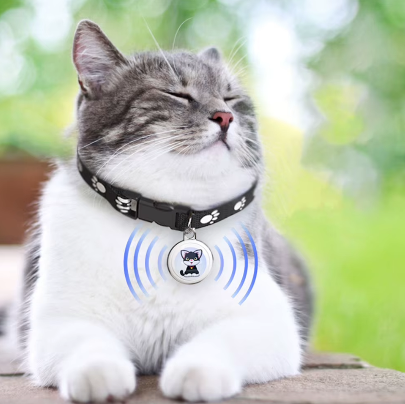 Innovativ hundetracker Airtag-hundehalsbånd Realtidslokalisering Bluetooth-sporing Vigtige ting for hundeejere