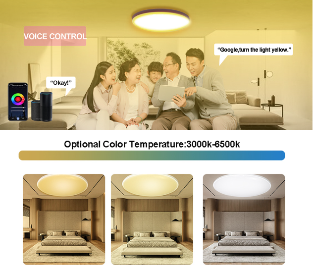 Tuya Zigbee Smart Loftlampe 24W RGBCW Dynamisk Belysning til Hjemmet Alexa-kompatibel Energieffektiv